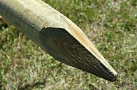 Pointed Fenicng Stake