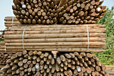  Round Pointed Fencing Struts