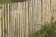 Chestnut Fencing